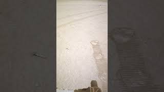 Mars Rover Deposits The First Sample