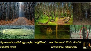 ரோமானியாவில் ஒரு மர்ம "மதிகெட்டான் சோலை" HOIA -BACIU haunted forest/Krishnaraaj informative