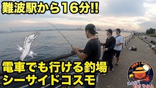 【南港】難波駅から16分!!電車でも行ける釣場でタチウオ釣り!!【シーサイドコスモ】