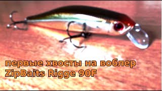 твичинг щука воблер zipbaits rigge 90f