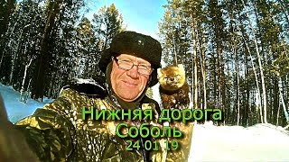 Нижняя дорога Соболь 24 01 19