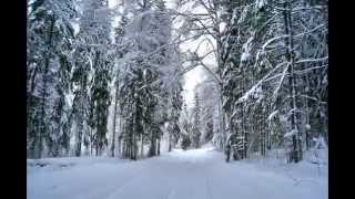 Чухломский район Костромская область. Зимние пейзажи. Терема.