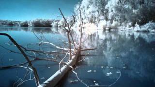 Далiна - Холодные Тайны Зимнего Леса