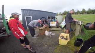 Chatham Island Adventure