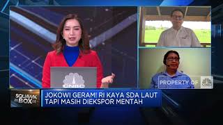 Jokowi Geram RI Kaya SDA Laut Tapi Diekspor Mentah, Apa Yang Salah?