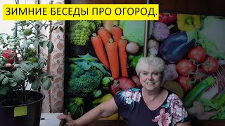 Ответы на вопросы про огород. Какие новинки томатов будут в 2022 году?