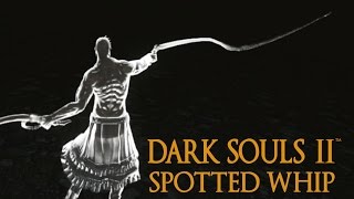 Dark Souls 2 Spotted Whip Tutorial (dual wielding w/ power stance)