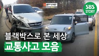 블랙박스로 본 세상 I 모닝와이드 141124 I SBS Story