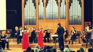 P. Sarasate. Navarra