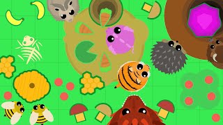 MOPE.IO ВЕСЕЛЫЕ ПРИКЛЮЧЕНИЯ ЧИТ ЖИВОТНЫХ В ИО ИГРЕ МОПИО ИЛИ МОРЕ ИО