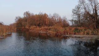 #17. Летаю Где Хочу. Воронежская область. Новоусманский район.