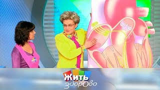 Жить здорово! - Выпуск от 14.03.2016