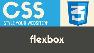 Flexbox | CSS | Tutorial 13