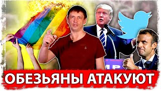 Обезьяны атакуют