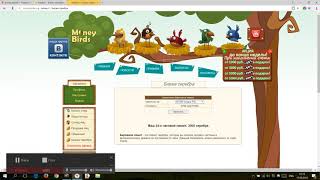 Вся правда о Money Birds