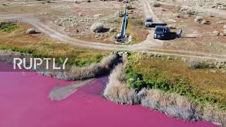 Argentina: Pollution turns Patagonia lagoon striking pink