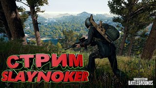 Люблю убивать - топ 100 мира SLAYNOKER ● Стрим / PUBG stream