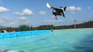 DOCK DIVING in Portugal