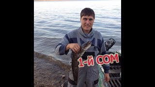 Рыбалка с ночевкой/ ловим сома и окуня на лягушек/ АВГУСТ 2017