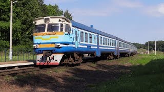 [БЧ] Дизель-поезд ДРБ1м-12 нa о.п. Савелинки / [BCh] DRB1m-12 at Savelinki stop