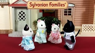 Семья черно-белых котов Сильваниан Фэмилис обзор новинки + мультик из игрушек