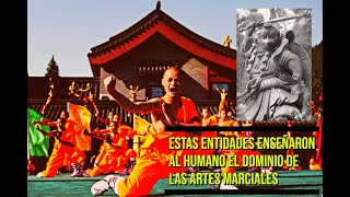 Las entidades que enseñaron el dominio de las artes marciales a los humanos