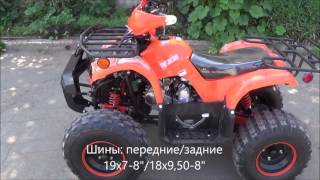 Квадроцикл детский TERMIT LIBRE