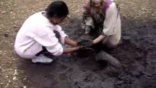 Mud Show
