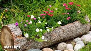 AMAZING WOOD FLOWER POTS Idea ?️ Creative Idea DIY pot Flower