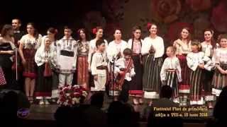 Florentina Vezatiu- " Flori de Primavara".