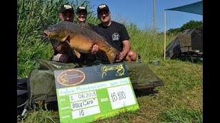Карпфишинг. Кубок Марьевского водохранилища 2018