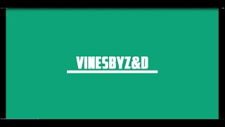 2D Intro Template for Sony Vegas (Free Download)