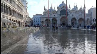 Italy: Venice's iconic St. Mark's Square flooded amid high waters