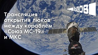 Трансляция открытия люков между кораблем «Союз МС-19» и МКС