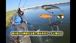 【横川隼大】初冬の霞ヶ浦。サーチのシャッド＆イガジグスピン、喰わせのオニヤゴォォォン