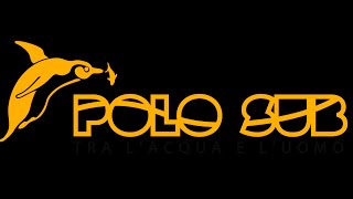 ESTRENANDO PATROCINIO POLOSUB... By Juan Frade