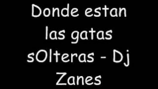 Donde estan las gatas solteras - Dj Zanes y Dj yepa yepa