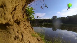 Анонс Хабургаев В Натуре. Тайные Связи