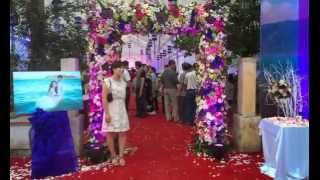 10000000 Bơm bóng bay hidro, kết bóng bay nghệ thuật, trang trí bóng bay ...0975559409