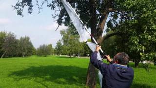Устройство для сбора яблок Fruit Picking Device