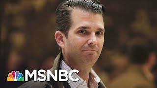Donald Trump Jr’s Hard-To-Believe Memory Lapses | The Last Word | MSNBC