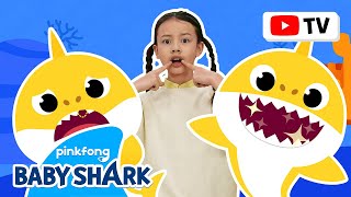 [4K] Baby Shark Teeth ???? | Kids Choreography | Dance Along 