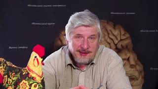 Наука и Мозг |забота о потомстве| 017