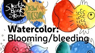 Draw Tip Tuesday: Watercolor - Blooming and Bleeding