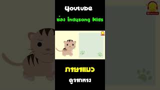ภาษาแมวดูจากหาง #Shorts