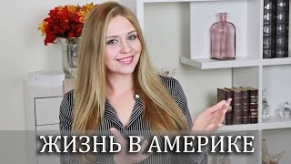 Жизнь в Америке : Ответы на ваши вопросы. Часть 1 |