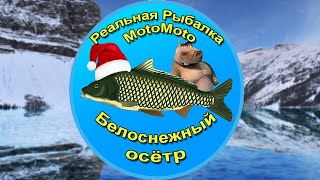 Как поймать Белоснежного осетра на Ледяном озере | Реальная Рыбалка
