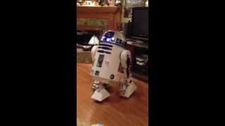 R2-D2 Finished!