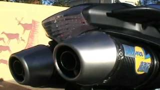 Leo Vince Carbono - FZ6n S2