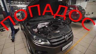 ПОПАДОС это ТИГУАН за 500тыс! Тот самый ЛОМАЮЩИЙСЯ ВАГ?